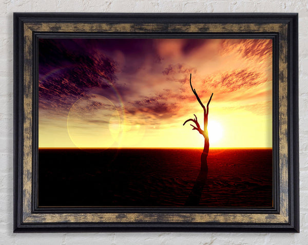 Oceans Driftwood Framed Print