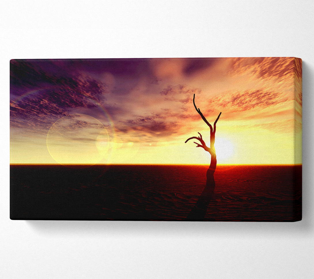  A Canvas Print of Oceans Driftwood Canvas Art
