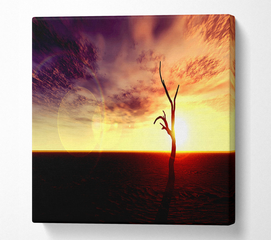  A Canvas Print of Oceans Driftwood Canvas Art