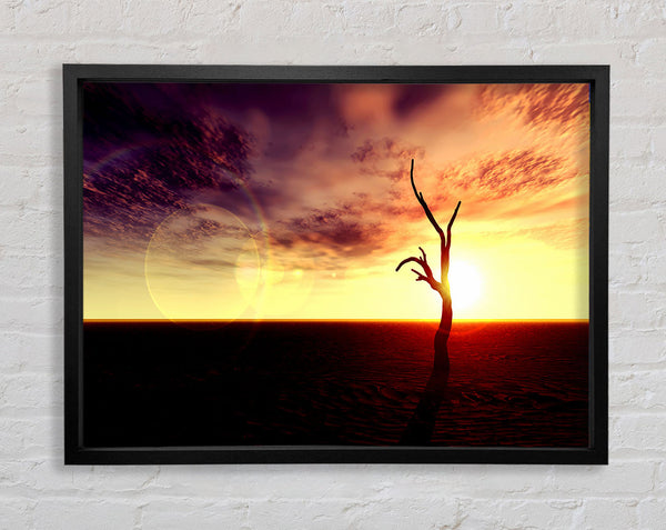Oceans Driftwood Framed Print