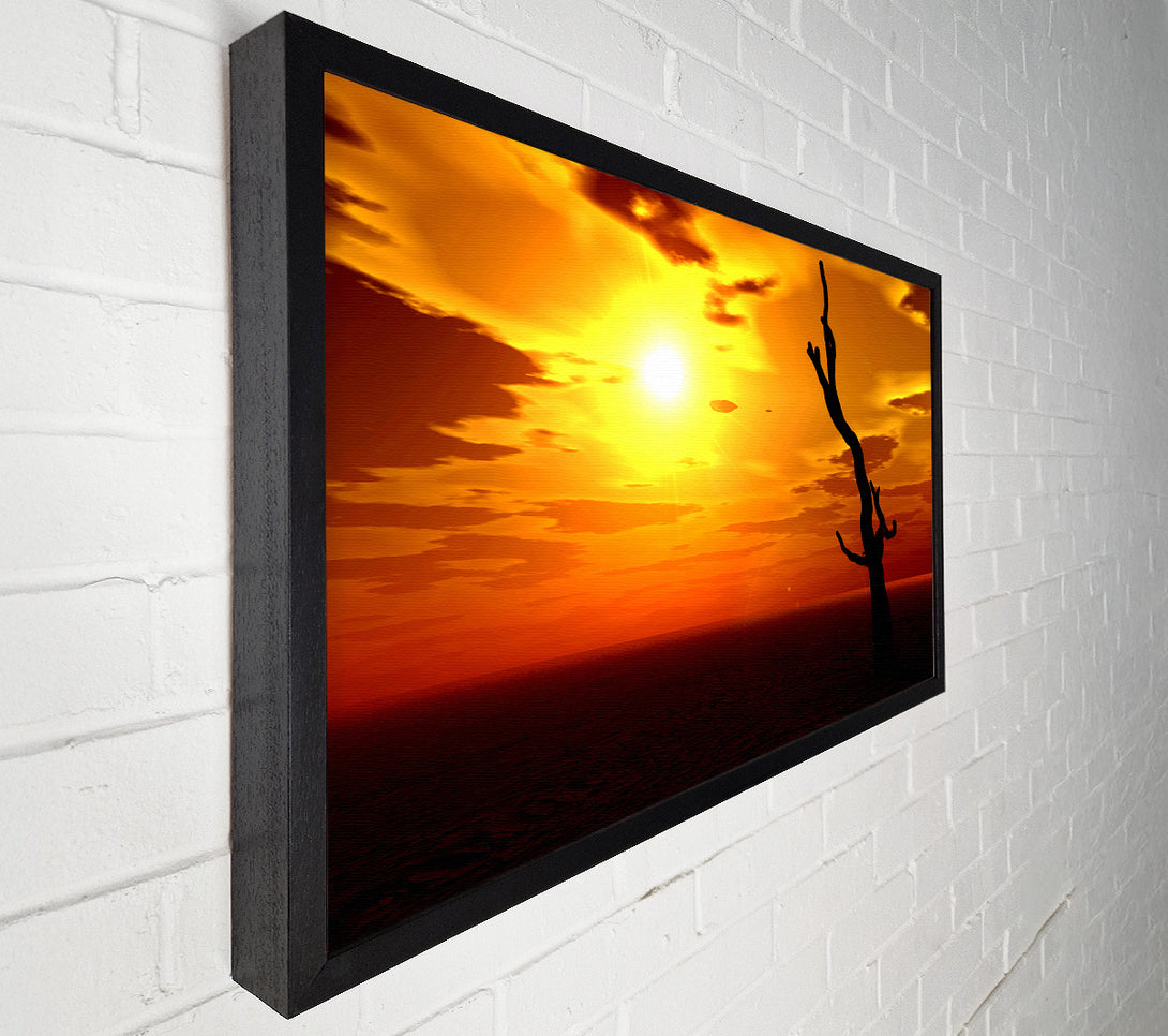  A Canvas Print of Tree Of The Desert Sun Canvas Print