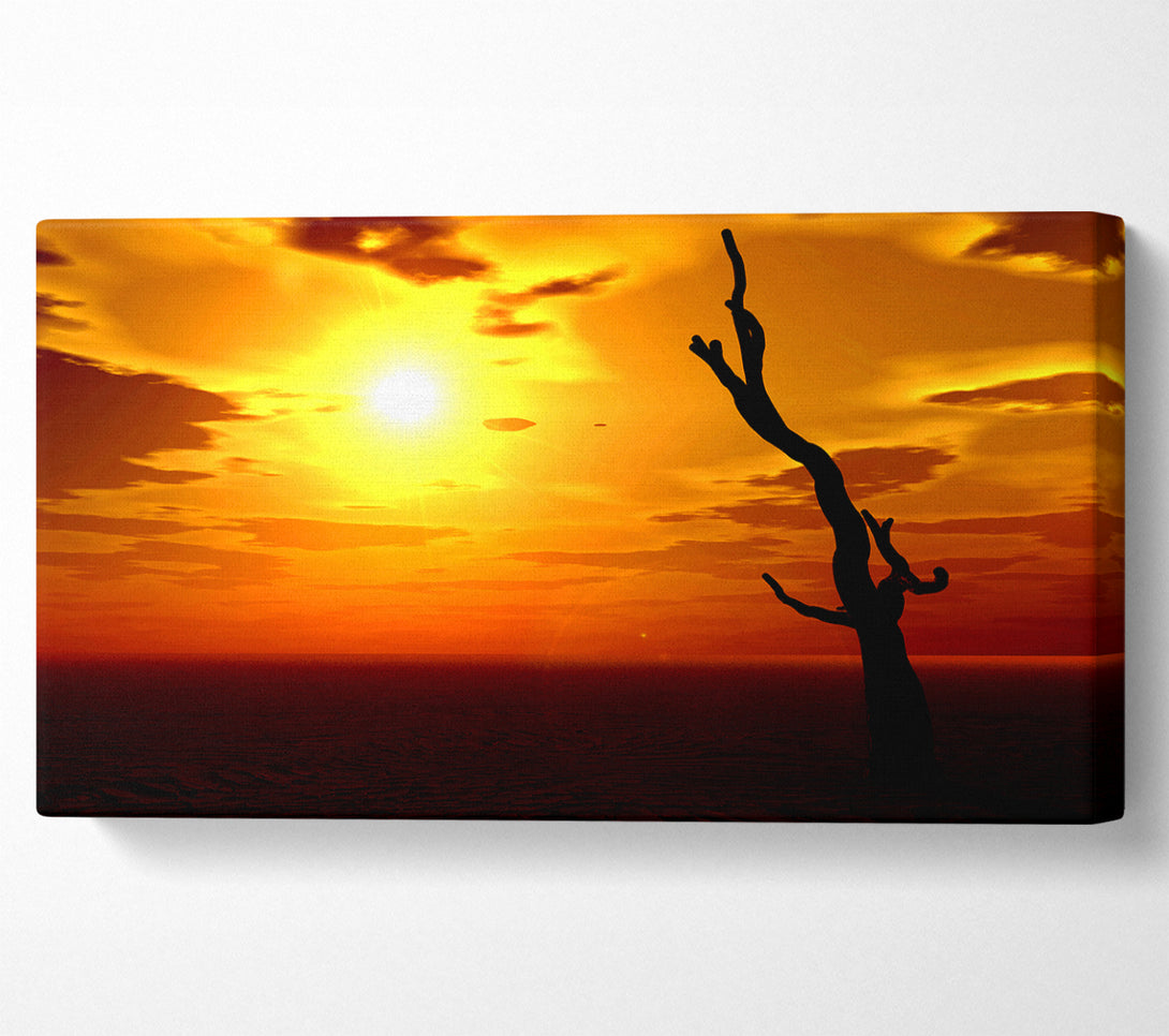  A Canvas Print of Tree Of The Desert Sun Canvas Print