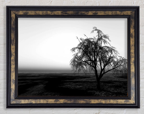 The Way The Wind Blows B n W Framed Print