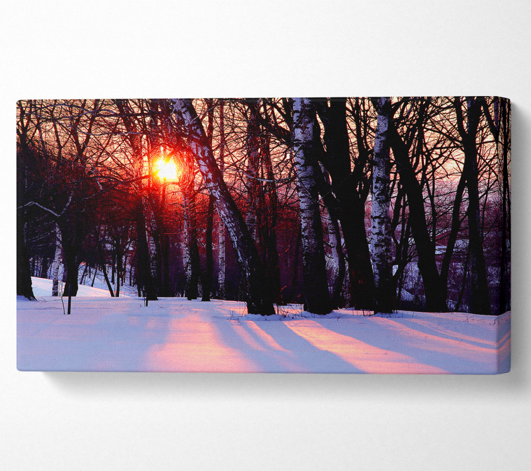  A Canvas Print of Winter Woodland Sun Canvas Art
