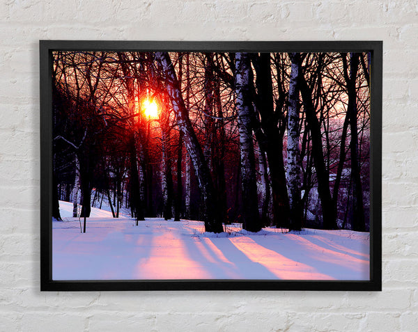 Winter Woodland Sun Framed Print
