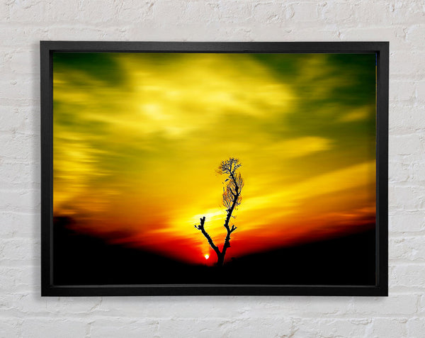 Stunning Sky Delight Framed Print