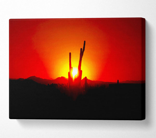  A Canvas Print of Cactus In Sunlight Canvas Wall Art