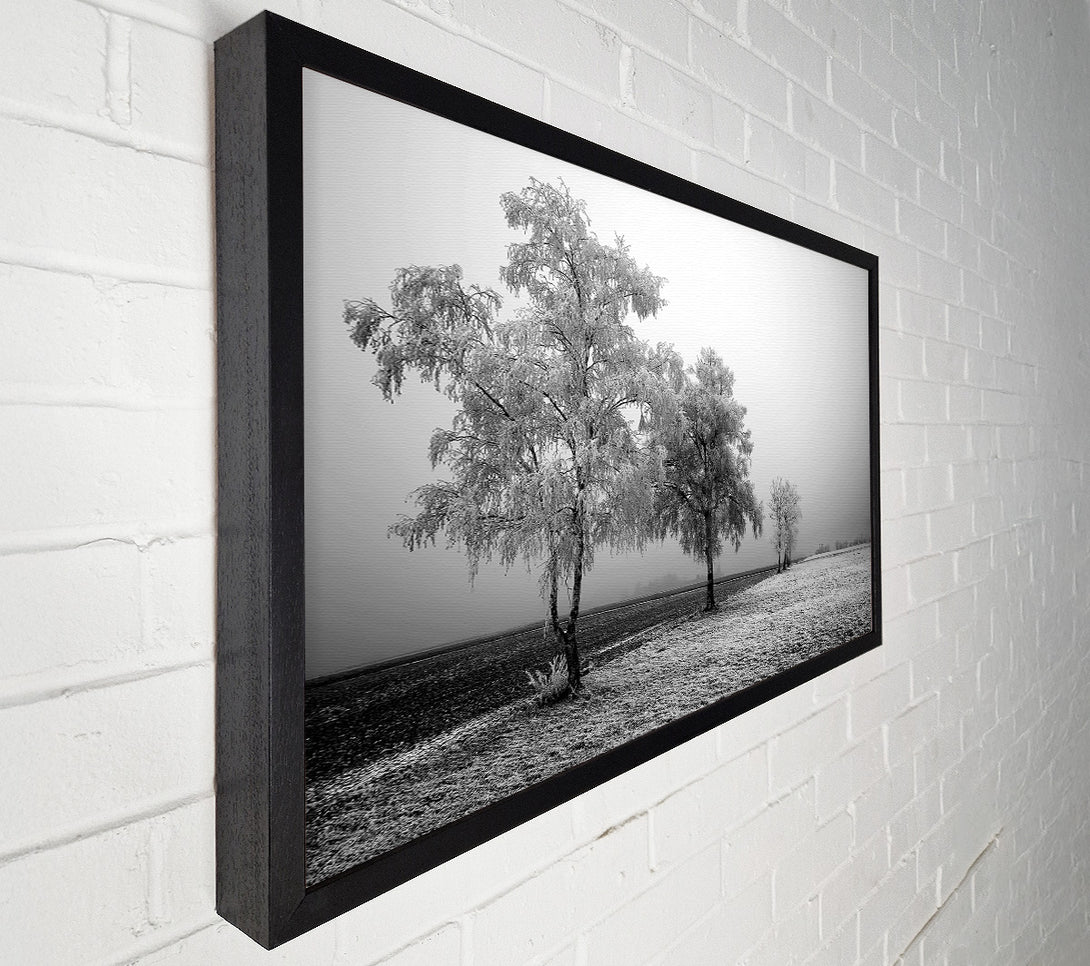  A Canvas Print of Winter Parade B n W Canvas Print