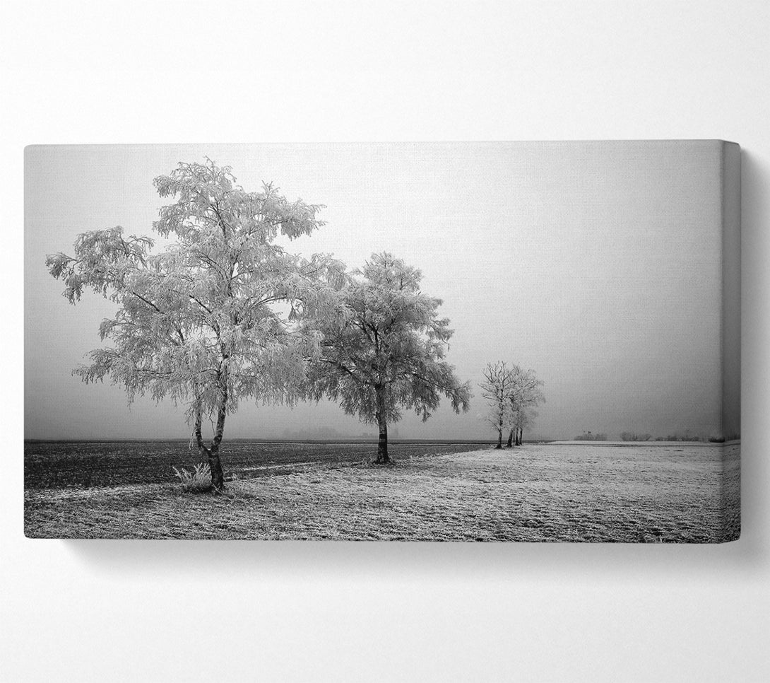  A Canvas Print of Winter Parade B n W Canvas Print