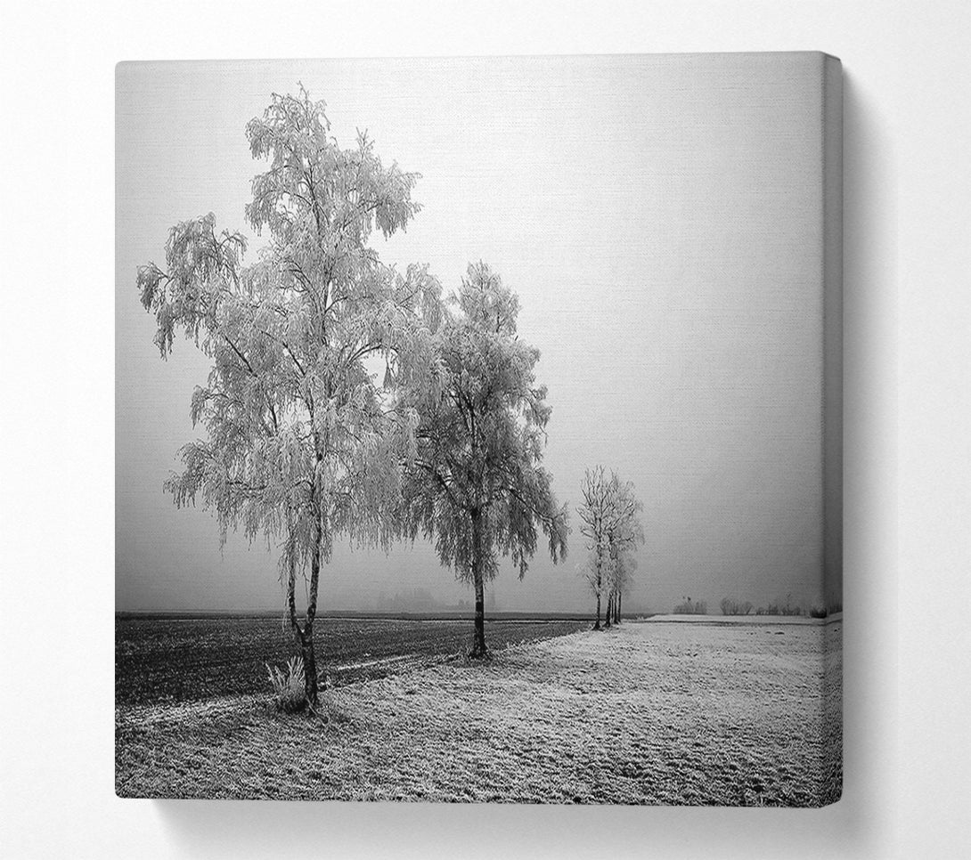  A Canvas Print of Winter Parade B n W Canvas Print