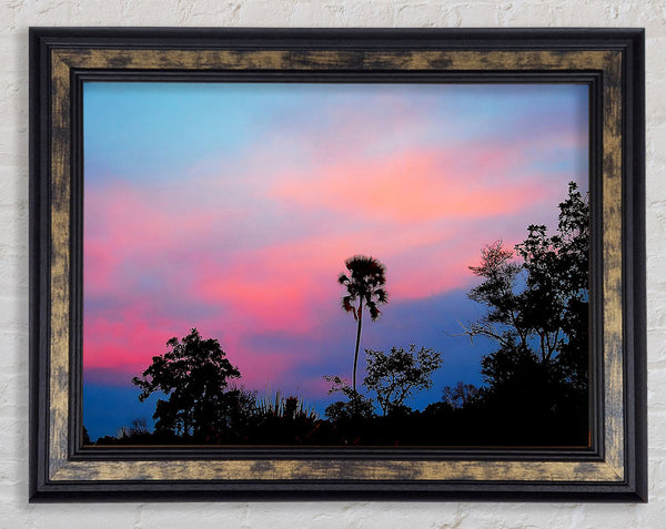 Tranquil Tree Tops Framed Print