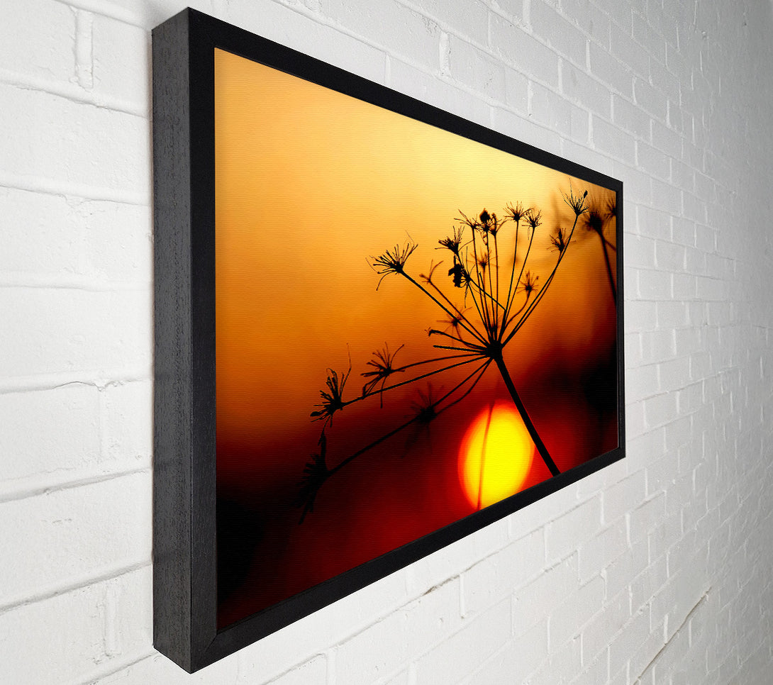  A Canvas Print of Sunset Through The Reeds Canvas Wall Art