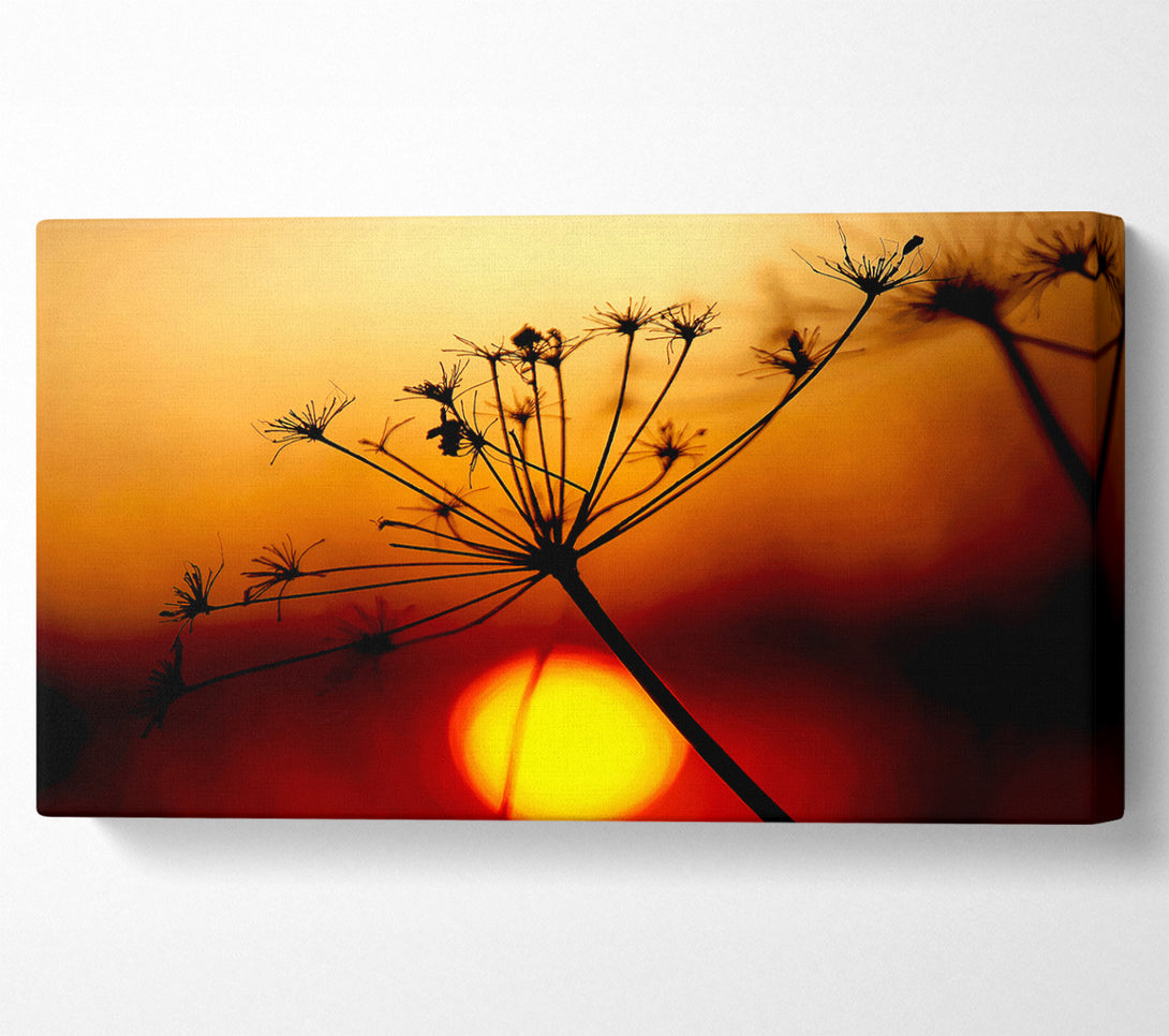  A Canvas Print of Sunset Through The Reeds Canvas Wall Art