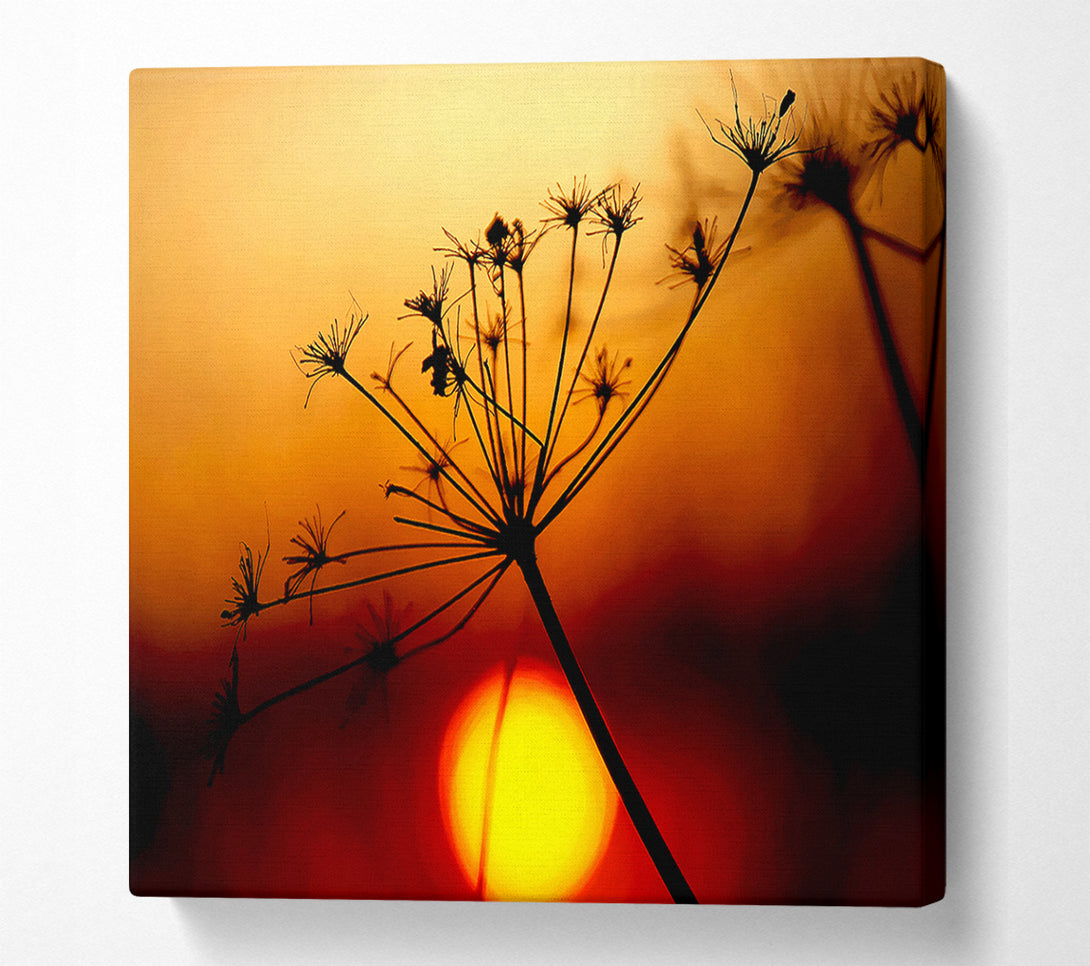  A Canvas Print of Sunset Through The Reeds Canvas Wall Art