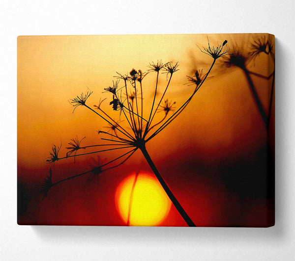  A Canvas Print of Sunset Through The Reeds Canvas Wall Art