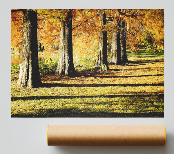Orange Winter Woodland Walk Print