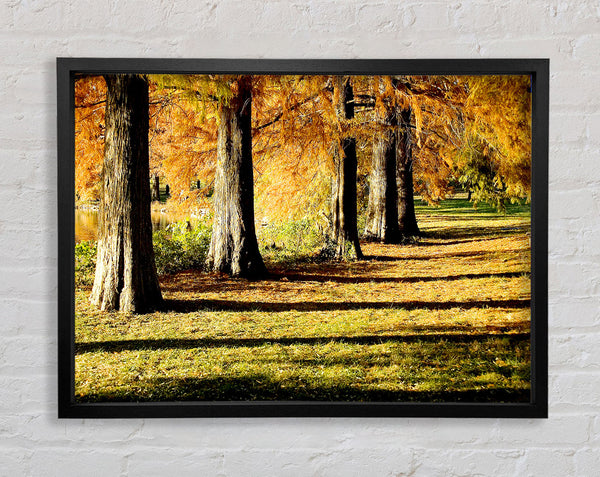 Orange Winter Woodland Walk Framed Print