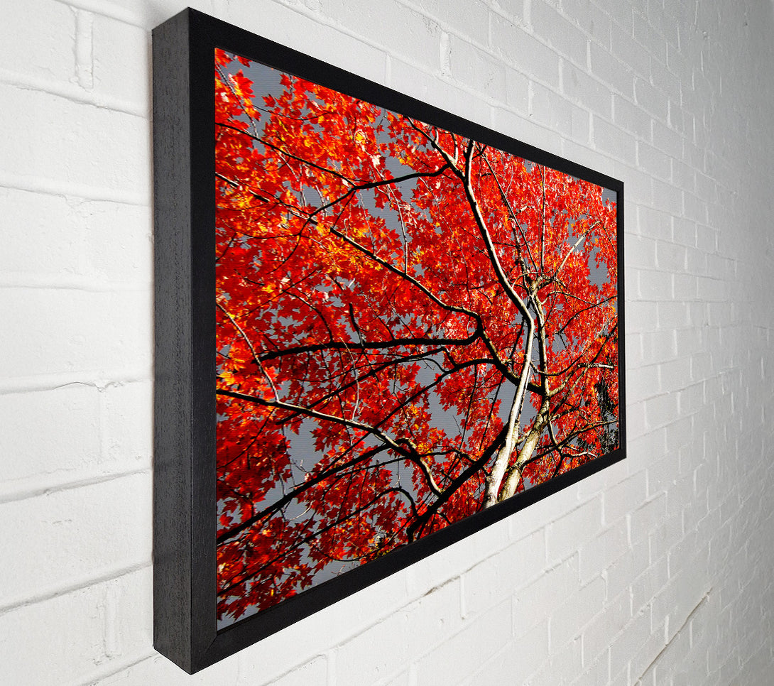  A Canvas Print of Red Tree Giant Canvas Print
