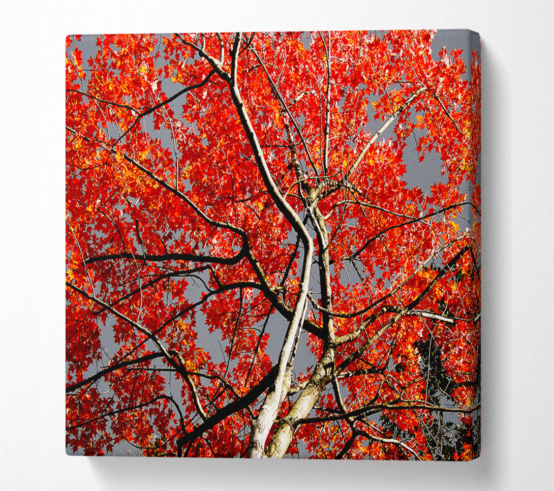  A Canvas Print of Red Tree Giant Canvas Print