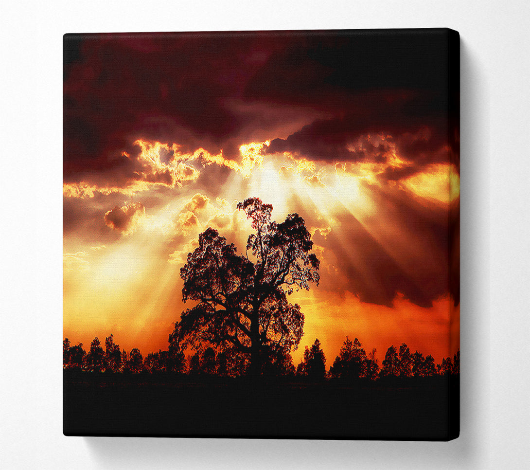  A Canvas Print of Stunning Cloud Sunrays Over The Morning Tree Canvas Wall Art