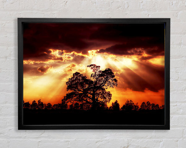 Stunning Cloud Sunrays Over The Morning Tree Framed Print