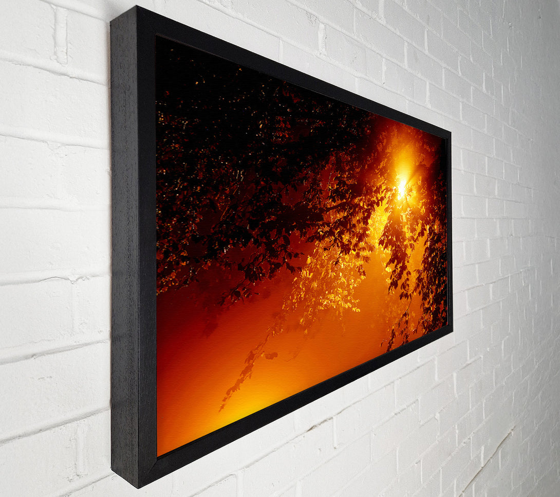  A Canvas Print of Stunning Sun Through The Leaves Canvas Print