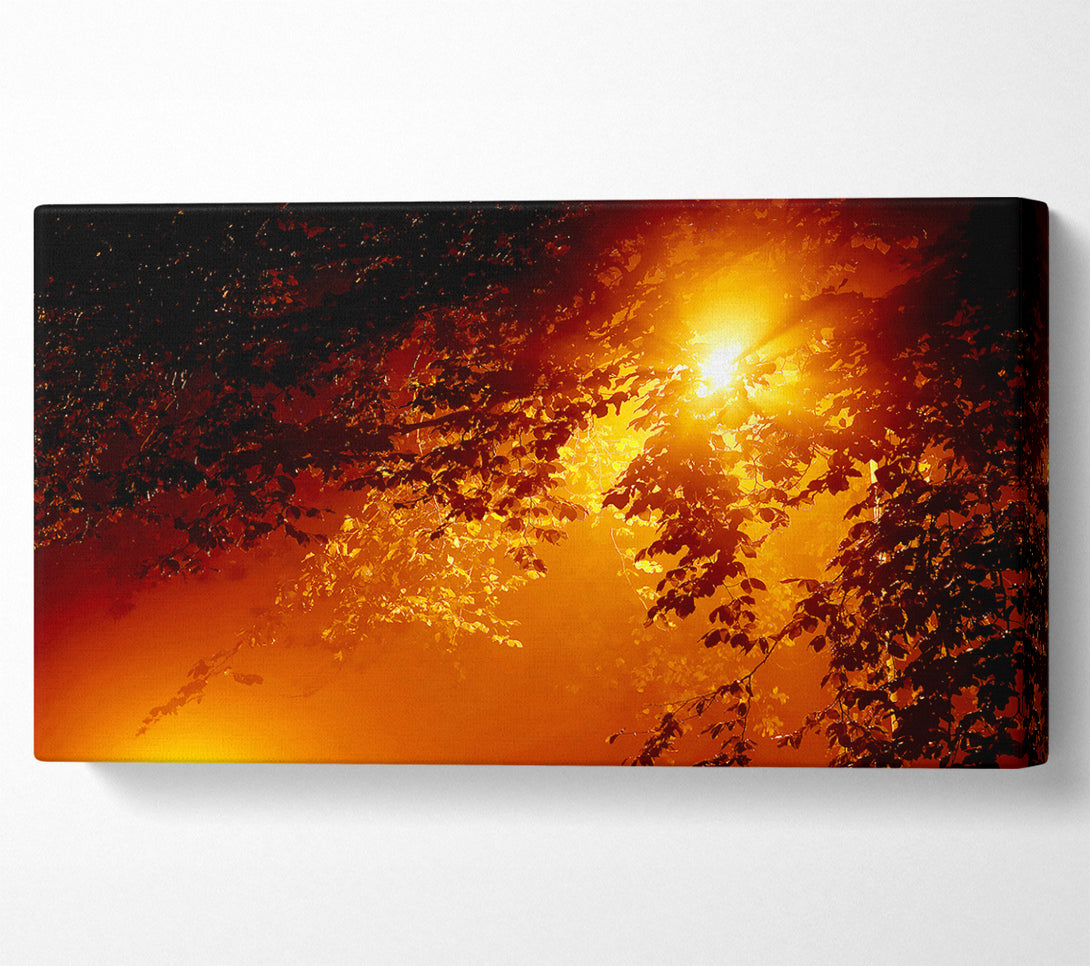  A Canvas Print of Stunning Sun Through The Leaves Canvas Print