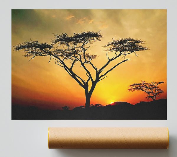 Arcania Tree Sunblaze Giclee Print