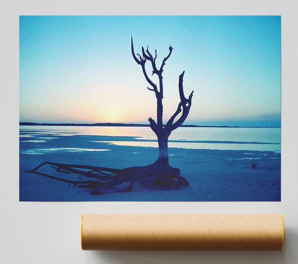 Blue Ocean Driftwood Giclee Print