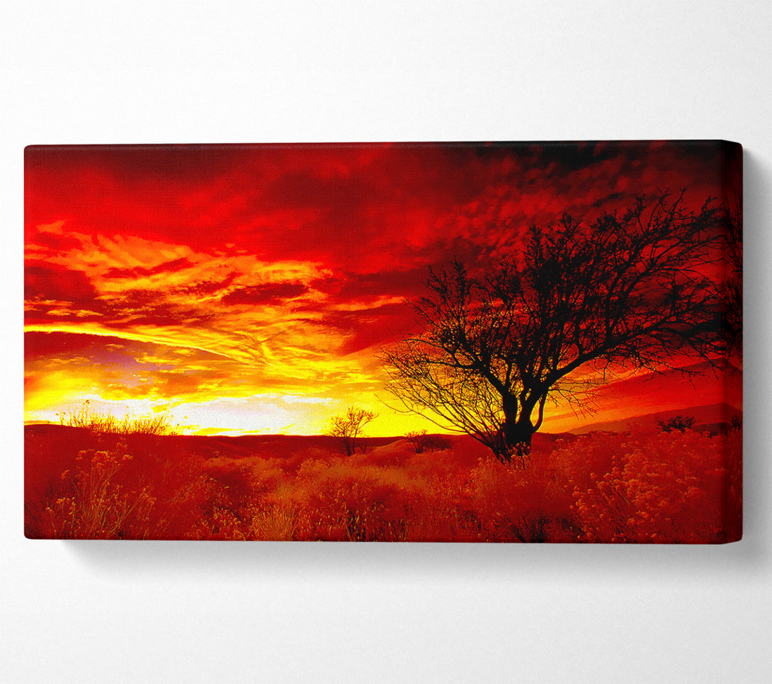  A Canvas Print of Red Yorkshire Dales Sunrise Canvas Art