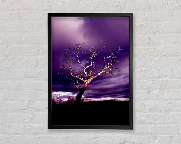 Stunning Purple Night Tree Framed Print