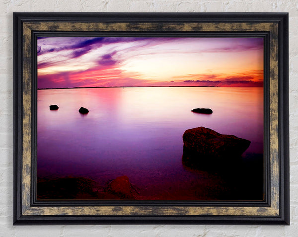Tranquil Lilac Calm Framed Print