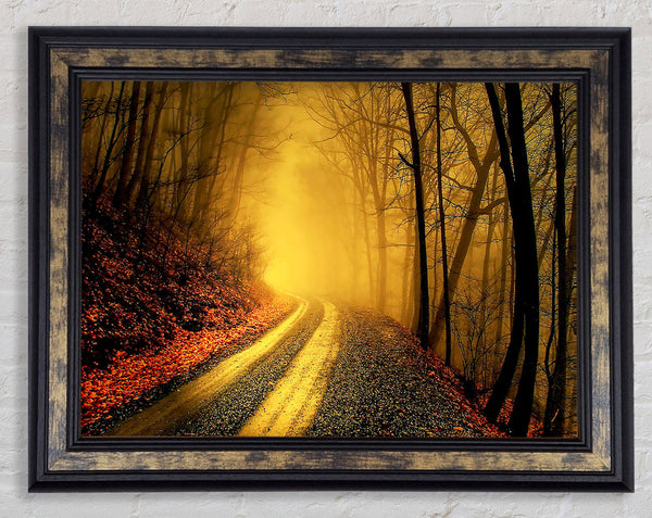 The Road To Gold Framed Print