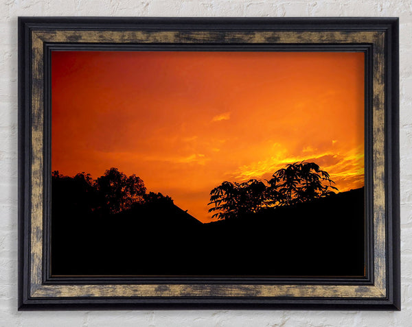 Orange Skys Over Forest Framed Print