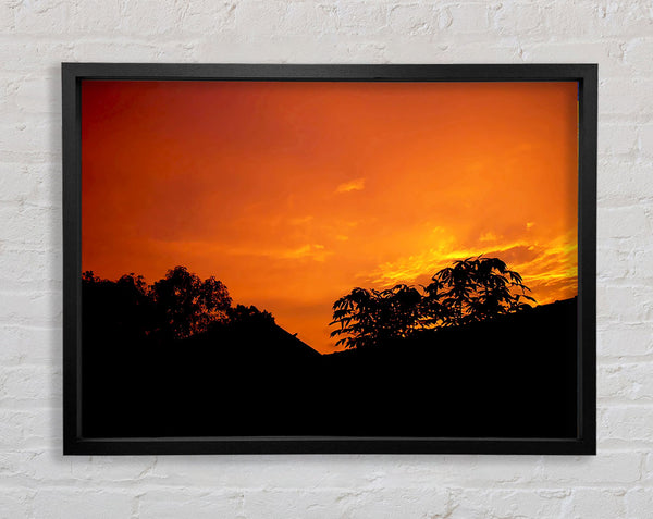 Orange Skys Over Forest Framed Print