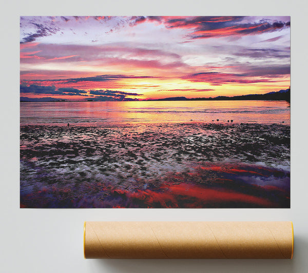 Rainbow Tides Print