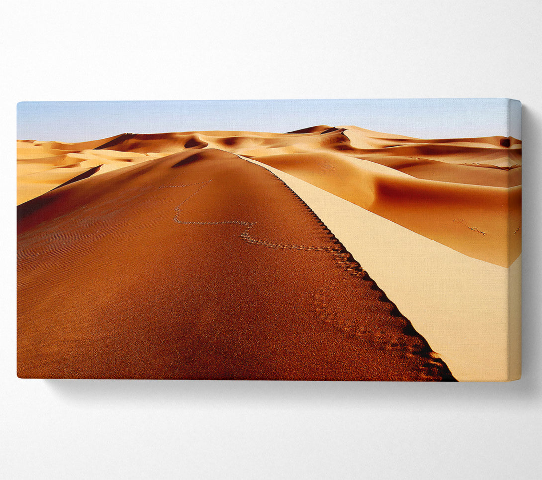  A Canvas Print of Sand Dune Patterns Canvas Print