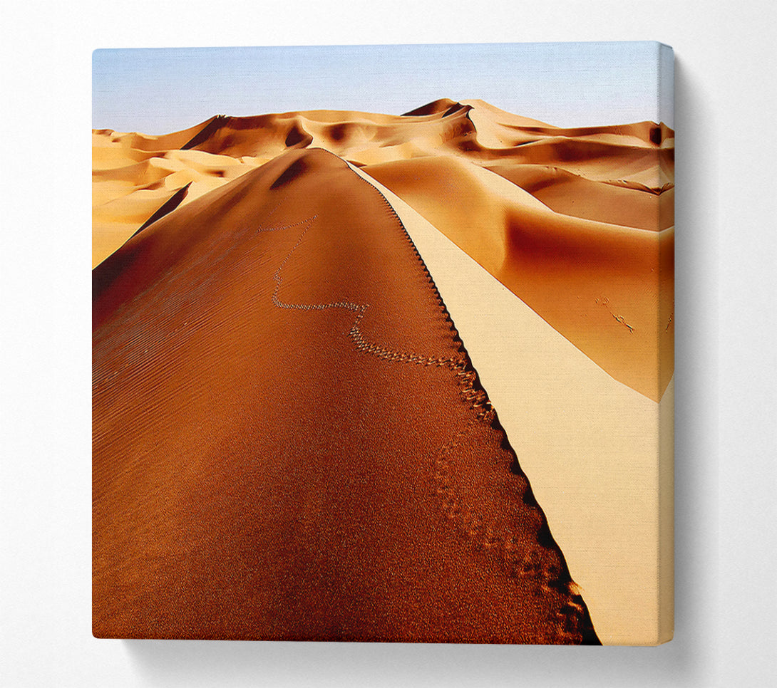  A Canvas Print of Sand Dune Patterns Canvas Print