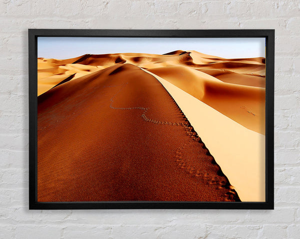 Sand Dune Patterns Framed Print
