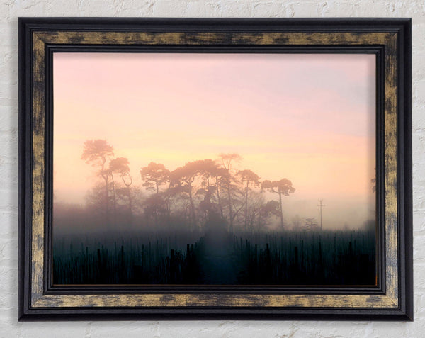 Yorkshire Dales Mist Framed Print