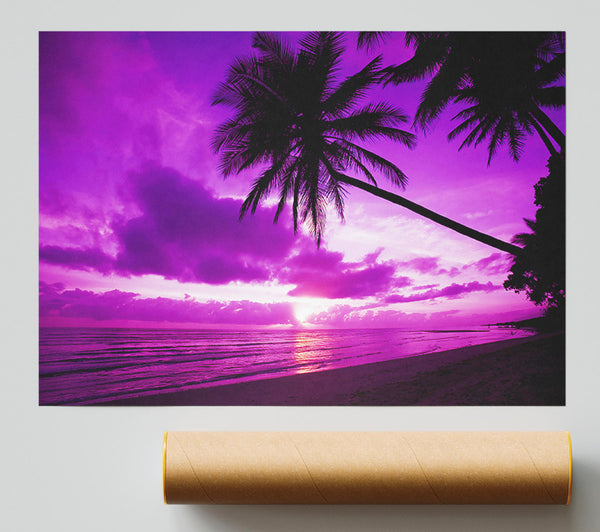 Pink Paradise Print