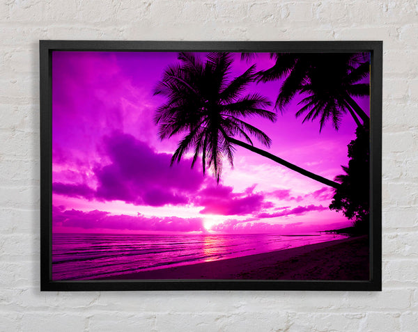 Pink Paradise Framed Print