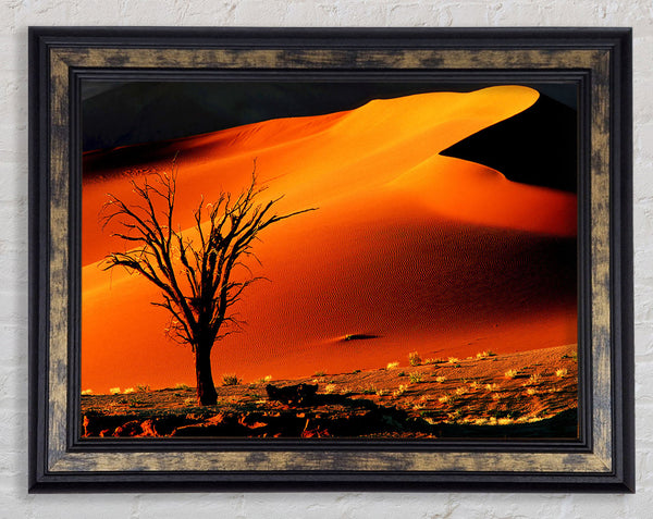 Red Desert Tree Framed Print