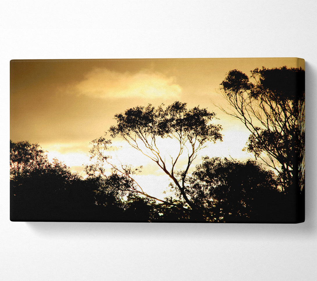  A Canvas Print of Golden Light Treetops Canvas Wall Art