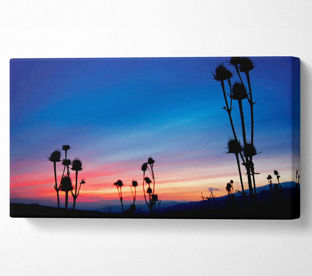  A Canvas Print of Red Winter Sky Near Dusk Canvas Art