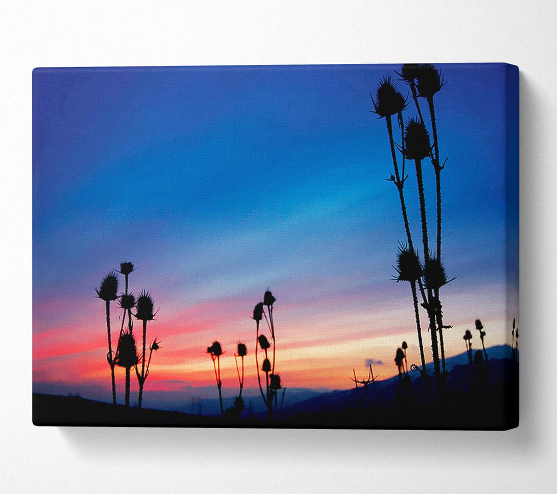  A Canvas Print of Red Winter Sky Near Dusk Canvas Art