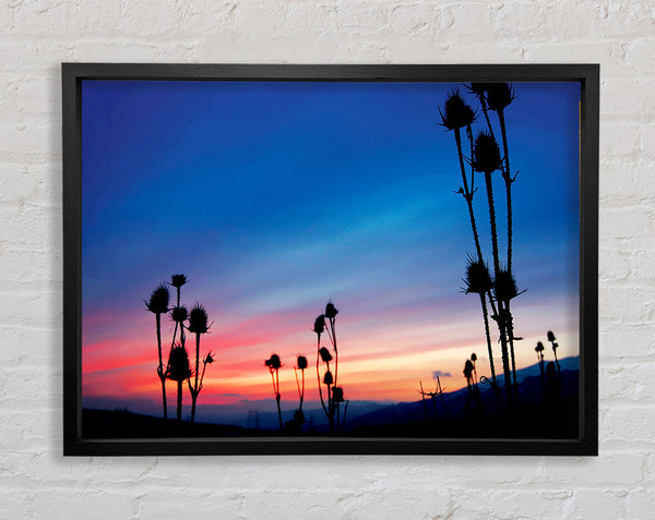 Red Winter Sky Near Dusk Framed Print