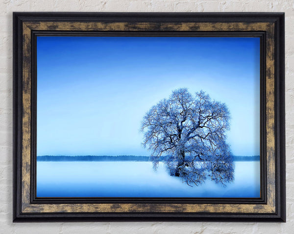 Blue Winter Tree Framed Print