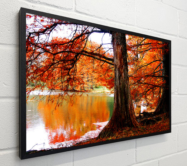 Autumn Orange River Reflections