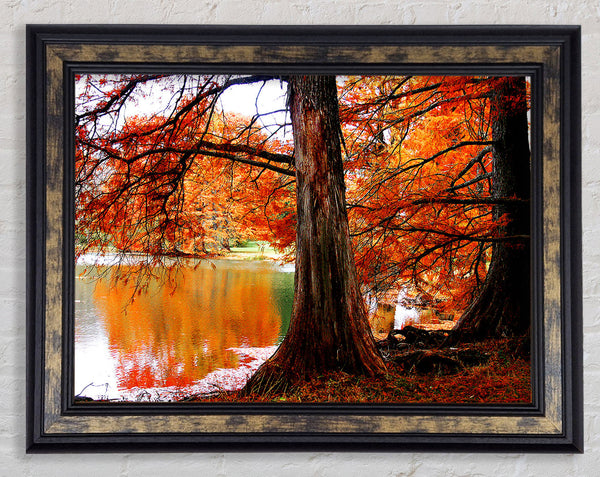 Autumn Orange River Reflections Framed Print